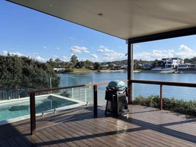 House For Lease - QLD - Palm Beach - 4221 - Tallebudgera magic - 20 metre sandy beach, pool, deck and pontoon in fully renovated 4 bedroom home  (Image 2)