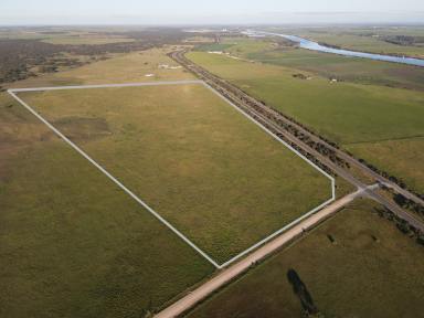 Cropping For Sale - SA - Tailem Bend - 5260 - 89 ACRES - HIGHWAY EXPOSURE AND RURAL POSSIBILITIES  (Image 2)