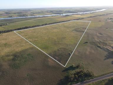 Cropping For Sale - SA - Tailem Bend - 5260 - 89 ACRES - HIGHWAY EXPOSURE AND RURAL POSSIBILITIES  (Image 2)