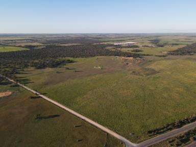 Cropping For Sale - SA - Tailem Bend - 5260 - HIGHWAY EXPOSURE, GENEROUS LAND AND EXCITING POTENTIAL  (Image 2)