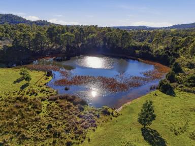 House For Sale - TAS - Bridgenorth - 7277 - "Western View" - 1900's family home, 75 acres - 90% pasture, Large dam, all just 25 minutes drive to Launceston CBD.  (Image 2)