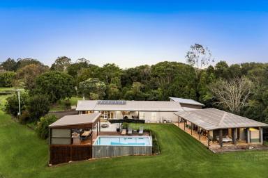 House For Sale - QLD - North Maleny - 4552 - Ten Acres of North Maleny Magic - Space, Privacy & Pure Hinterland Living  (Image 2)