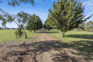 Residential Block For Sale - VIC - Lockwood South - 3551 - Rare Lifestyle Opportunity with Established Olive Grove  (Image 2)