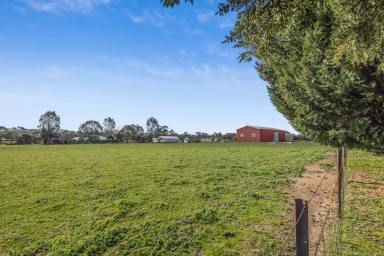 Residential Block For Sale - VIC - Lockwood South - 3551 - Rare Lifestyle Opportunity with Established Olive Grove  (Image 2)