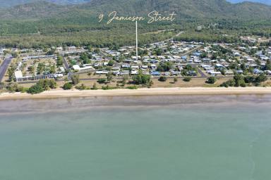 House Sold - QLD - Cardwell - 4849 - 3b/r Beachside solid block family home with garage just one street from the beach  (Image 2)