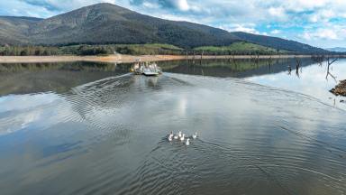 Lifestyle For Sale - NSW - Wymah - 2640 - Absolute Lake Hume Waterfront Lifestyle  (Image 2)