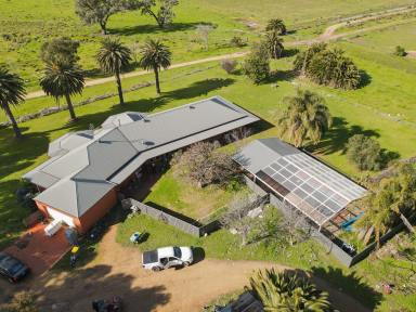 Mixed Farming For Sale - NSW - Wakool - 2710 - Premium Irrigation Enterprise with Two Titles, Two Homes & Outstanding Development Potential (Image 2)