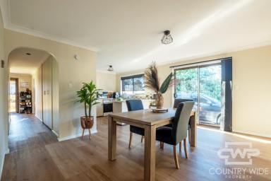 House For Sale - NSW - Glen Innes - 2370 - Easy-Care Living with Rural Views  (Image 2)