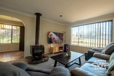 House For Sale - NSW - Glen Innes - 2370 - Easy-Care Living with Rural Views  (Image 2)