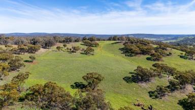 Other (Rural) For Sale - WA - Toodyay - 6566 - Morning Sunlight, Rolling Hills & Endless Views  (Image 2)
