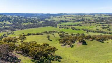 Other (Rural) For Sale - WA - Toodyay - 6566 - Morning Sunlight, Rolling Hills & Endless Views (Image 2)