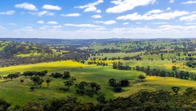Other (Rural) For Sale - WA - Toodyay - 6566 - Morning Sunlight, Rolling Hills & Endless Views (Image 2)