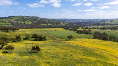 Other (Rural) For Sale - WA - Toodyay - 6566 - Morning Sunlight, Rolling Hills & Endless Views (Image 2)