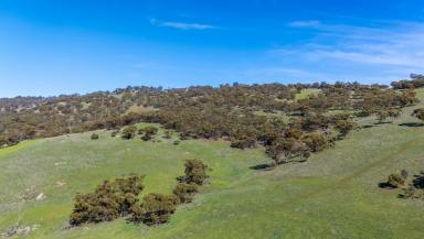 Other (Rural) For Sale - WA - Toodyay - 6566 - Morning Sunlight, Rolling Hills & Endless Views (Image 2)