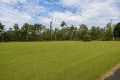Residential Block For Sale - NSW - Rappville - 2469 - UNDER OFFER (Image 2)