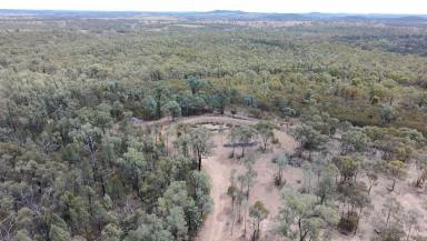 Lifestyle For Sale - QLD - Silver Spur - 4385 - 113 Acres of Private Bushland Escape with Stunning Granite Belt Views (Image 2)