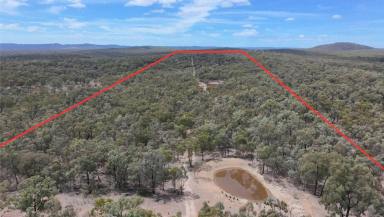 Lifestyle For Sale - QLD - Silver Spur - 4385 - 113 Acres of Private Bushland Escape with Stunning Granite Belt Views (Image 2)