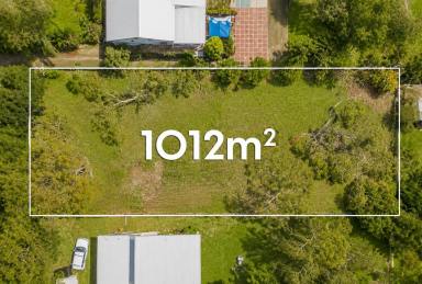 Residential Block For Sale - QLD - Macleay Island - 4184 - Stunning 1012m2 Block - Walk to the Beach - Cleared and Soil Tested - Build Your Dream Island Home! (Image 2)
