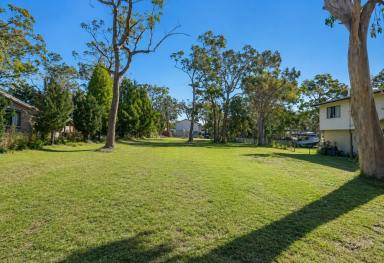 Residential Block For Sale - QLD - Macleay Island - 4184 - Stunning 1012m2 Block - Walk to the Beach - Cleared and Soil Tested - Build Your Dream Island Home! (Image 2)