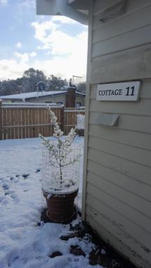 House For Sale - TAS - Bronte Park - 7140 - Charming Fully Furnished with Proven Airbnb Success (Image 2)