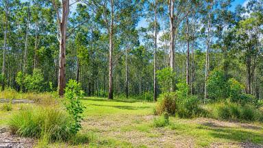 Lifestyle For Sale - NSW - Drake - 2469 - PERFECT PROJECT (Image 2)