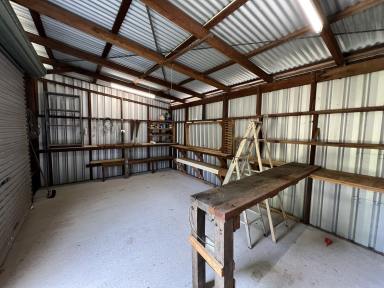 House For Sale - QLD - Cooktown - 4895 - Handcrafted Cape York Timber Home  (Image 2)
