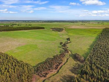 Mixed Farming Auction - VIC - Knebsworth - 3286 - Rare South West grazing opportunity  (Image 2)
