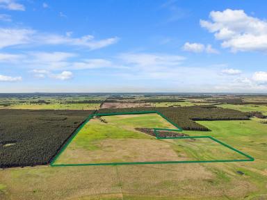 Mixed Farming Auction - VIC - Knebsworth - 3286 - Rare South West grazing opportunity  (Image 2)