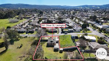 House For Sale - NSW - Lavington - 2641 - EXPLORE THE POTENTIAL  (Image 2)