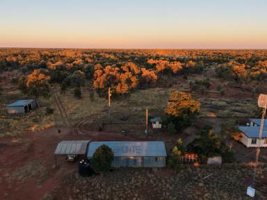 Other (Rural) For Sale - QLD - Adavale - 4474 - PROVEN REGENERATION AT SCALE  (Image 2)