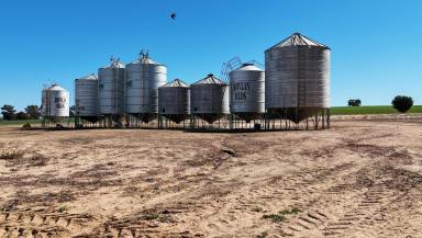 Cropping For Sale - WA - Arrowsmith - 6525 - ARROWSMITH PORTFOLIO | MID WEST REGION WA  (Image 2)