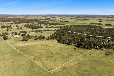 Lifestyle For Sale - NSW - Taralga - 2580 - 54 Acres of Rural Lifestyle, Sustainability & Stunning Views (Image 2)