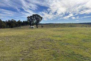 Lifestyle For Sale - NSW - Taralga - 2580 - 54 Acres of Rural Lifestyle, Sustainability & Stunning Views (Image 2)