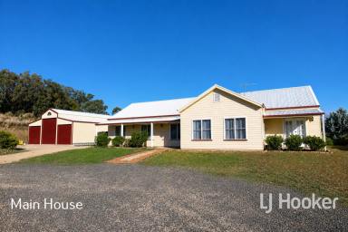 Other (Rural) For Sale - NSW - Newstead - 2360 - Exceptional Dual-Living Opportunity on 30 Acres - Just 25 Minutes from Inverell  (Image 2)