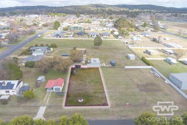 Residential Block Sold - NSW - Glen Innes - 2370 - Vacant Land in Glen Innes!  (Image 2)