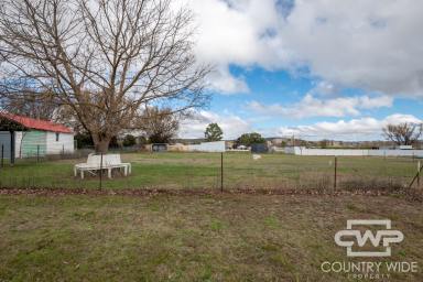 Residential Block Sold - NSW - Glen Innes - 2370 - Vacant Land in Glen Innes!  (Image 2)
