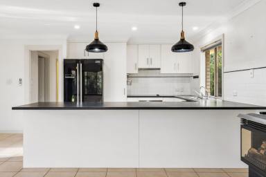 House For Lease - SA - Strathalbyn - 5255 - Spacious & Comfortable 3-Bedroom Home in Strathalbyn  (Image 2)