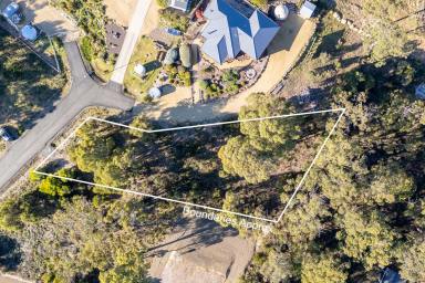 Residential Block For Sale - TAS - Nubeena - 7184 - Prime Elevated Land with Views, Ready for Your Dream Escape to the Country! (Image 2)
