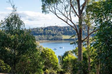 Residential Block For Sale - TAS - Nubeena - 7184 - Prime Elevated Land with Views, Ready for Your Dream Escape to the Country! (Image 2)