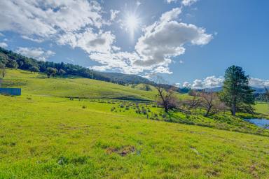 Mixed Farming For Sale - VIC - Myrtleford - 3737 - Spectacular 178-Acre Rural Holding with Panoramic Alpine Views  (Image 2)