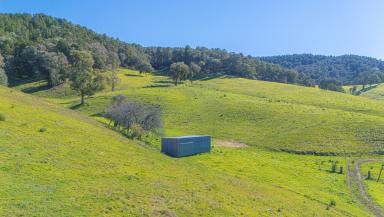 Mixed Farming For Sale - VIC - Myrtleford - 3737 - Spectacular 178-Acre Rural Holding with Panoramic Alpine Views  (Image 2)