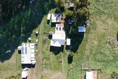 Lifestyle For Sale - VIC - Condah - 3303 - Productive 52 Acres with Plenty of Potential  (Image 2)
