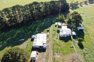 Lifestyle For Sale - VIC - Condah - 3303 - Productive 52 Acres with Plenty of Potential  (Image 2)