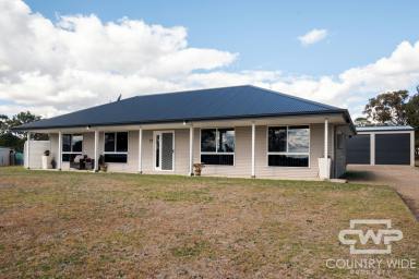 House For Sale - NSW - Emmaville - 2371 - Modern, Light-Filled Living on a Spacious 3,971m² Block  (Image 2)
