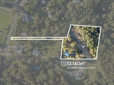 Acreage/Semi-rural For Sale - QLD - Worongary - 4213 - ABUNDANT CHARM 0N OVER 3 ACRES - AN OPPORTUNTY TO REJUVENATE THIS TIMELESS MASTERPIECE  (Image 2)