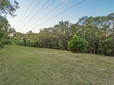 Acreage/Semi-rural Sold - QLD - Worongary - 4213 - ABUNDANT CHARM 0N OVER 3 ACRES - AN OPPORTUNTY TO REJUVENATE THIS TIMELESS MASTERPIECE  (Image 2)