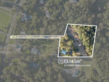Acreage/Semi-rural Sold - QLD - Worongary - 4213 - ABUNDANT CHARM 0N OVER 3 ACRES - AN OPPORTUNTY TO REJUVENATE THIS TIMELESS MASTERPIECE  (Image 2)