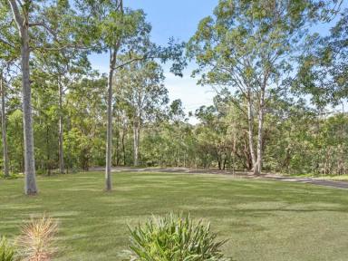 Acreage/Semi-rural For Sale - QLD - Worongary - 4213 - A TIMELESS HOMESTEAD ON 3.24 ACRES OF PRIVATE HINTERLAND PARADISE  (Image 2)