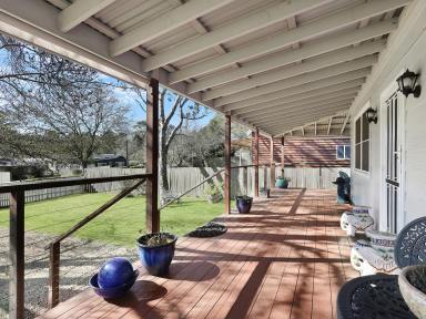 House For Sale - NSW - Bundanoon - 2578 - Cottage Cutie. (Image 2)