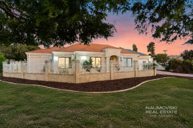 House For Sale - WA - Nollamara - 6061 - ALL THE SAPCE YOU NEED!  (Image 2)
